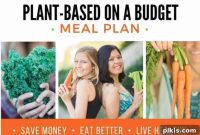 Frugal Vegan Feasts for One: Week 2 Progress