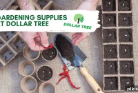 Sprouting Savings: Dollar Tree Garden Essentials