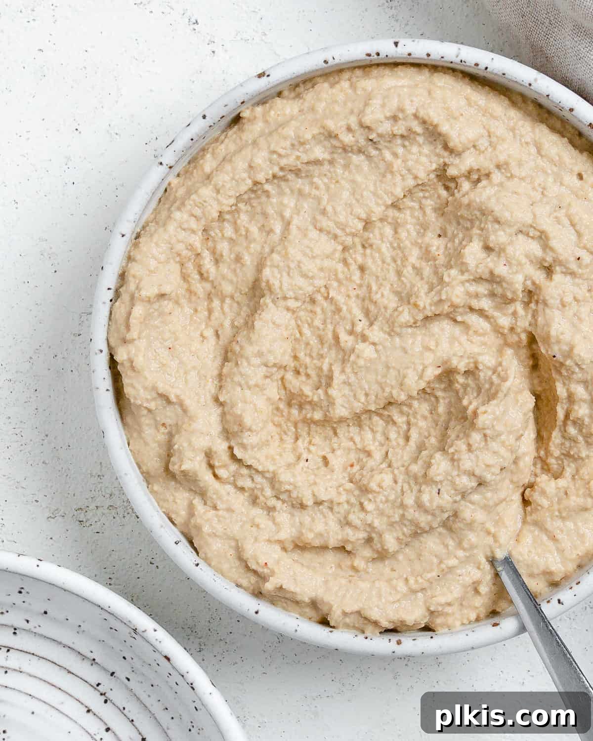Gourmet Vegan French Onion Dip 12 The finished Vegan French Onion Dip served in an elegant white bowl, beautifully styled on a light background, highlighting its rich texture.