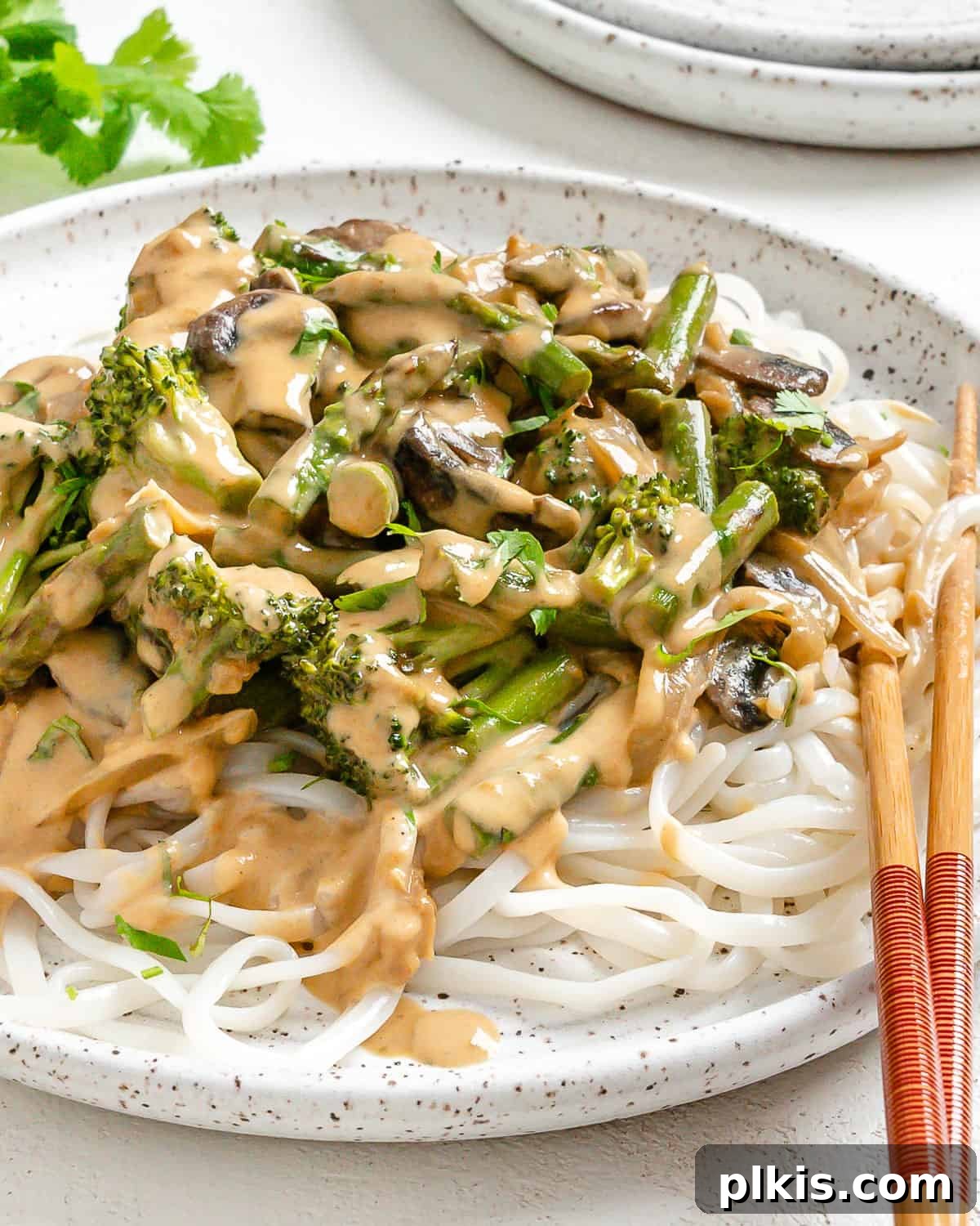 Velvet Rice Noodle Stir Fry 17 completed Creamy Rice Noodle Stir Fry plated against a white surface