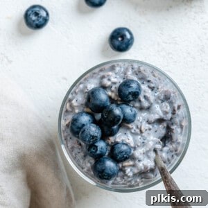 Overnight Blueberry Delight 18 completed Blueberry Overnight Oats against a light background with blueberries scattered