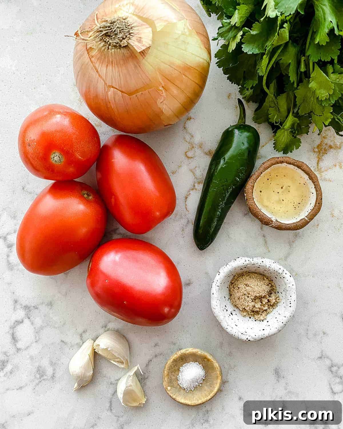 Handcrafted Roasted Red Salsa 3 Assortment of fresh ingredients for Homemade Roasted Red Salsa laid out on a pristine white marble surface, including ripe Roma tomatoes, yellow onion, jalapeño peppers, garlic cloves, and cilantro sprigs.