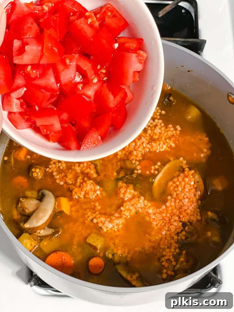 Comforting Red Lentil Stew 11 Chopped tomatoes added to the simmering lentil and vegetable mixture in the pot.