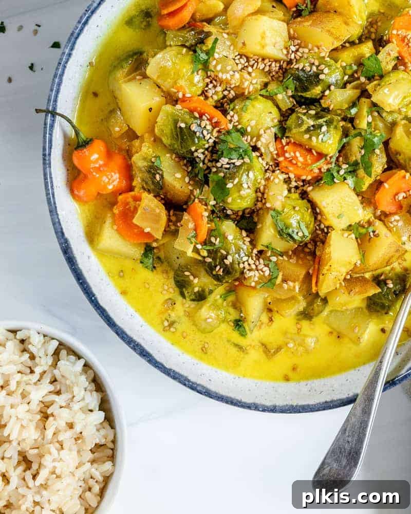 Aromatic Brussels Sprouts Curry 8 Another enticing view of the Brussels Sprouts Curry, ready for serving, emphasizing its wholesome appeal and delicious presentation.