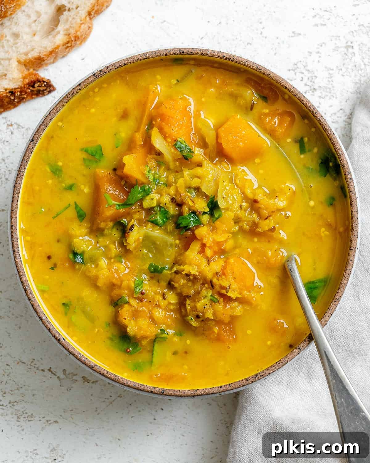 Hearty Butternut Squash and Lentil Soup 2 A beautifully presented bowl of creamy butternut squash and lentil soup, garnished with fresh herbs.