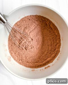 Heavenly Vegan Brownies 5 process of mixing Super Fudgy Vegan Brownies ingredients in a white bowl, showing dry ingredients being combined