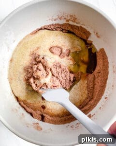 Heavenly Vegan Brownies 6 process of mixing the wet ingredients of Super Fudgy Vegan Brownies in a bowl, wet and dry ingredients combined