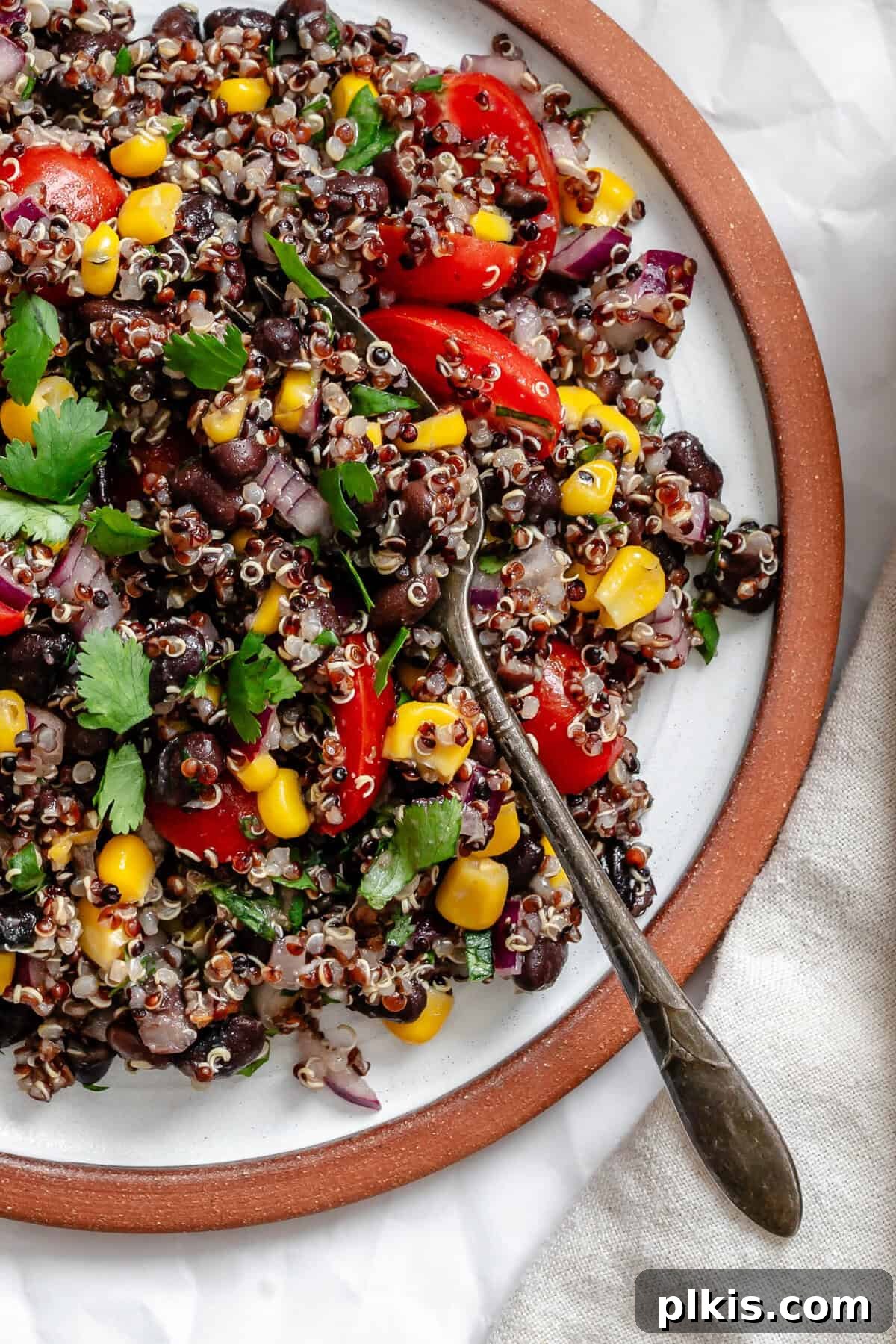 Southwestern Quinoa and Black Bean Fiesta 2 Completed Black Bean Quinoa Salad in a plate on a white surface, garnished with fresh cilantro and lime wedges.