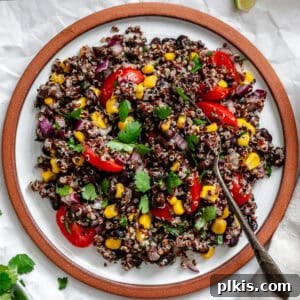 Completed Black Bean Quinoa Salad in a plate on a white surface.