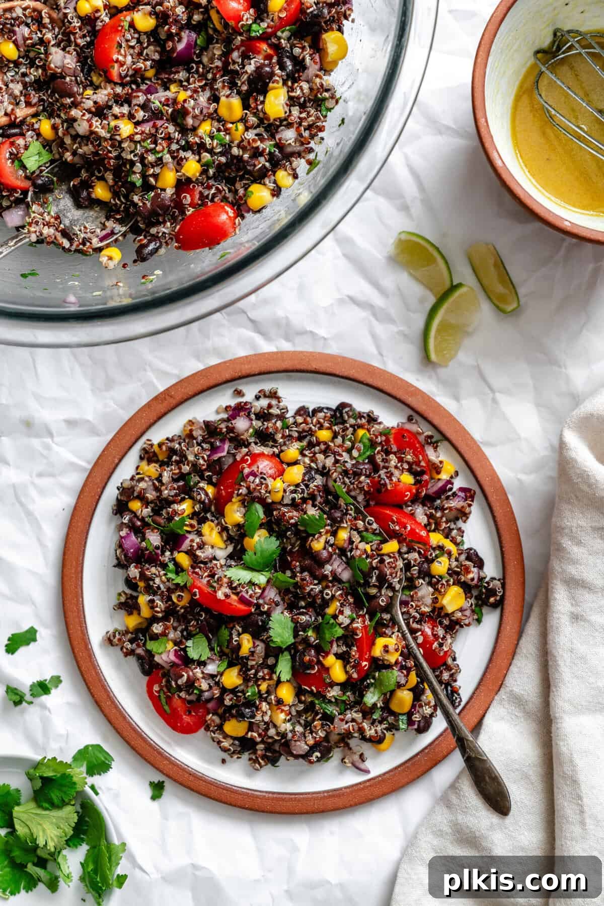 Southwestern Quinoa and Black Bean Fiesta 8 Completed Black Bean Quinoa Salad in a plate on a white surface, garnished with fresh cilantro and lime wedges, showing a close-up of the vibrant textures.