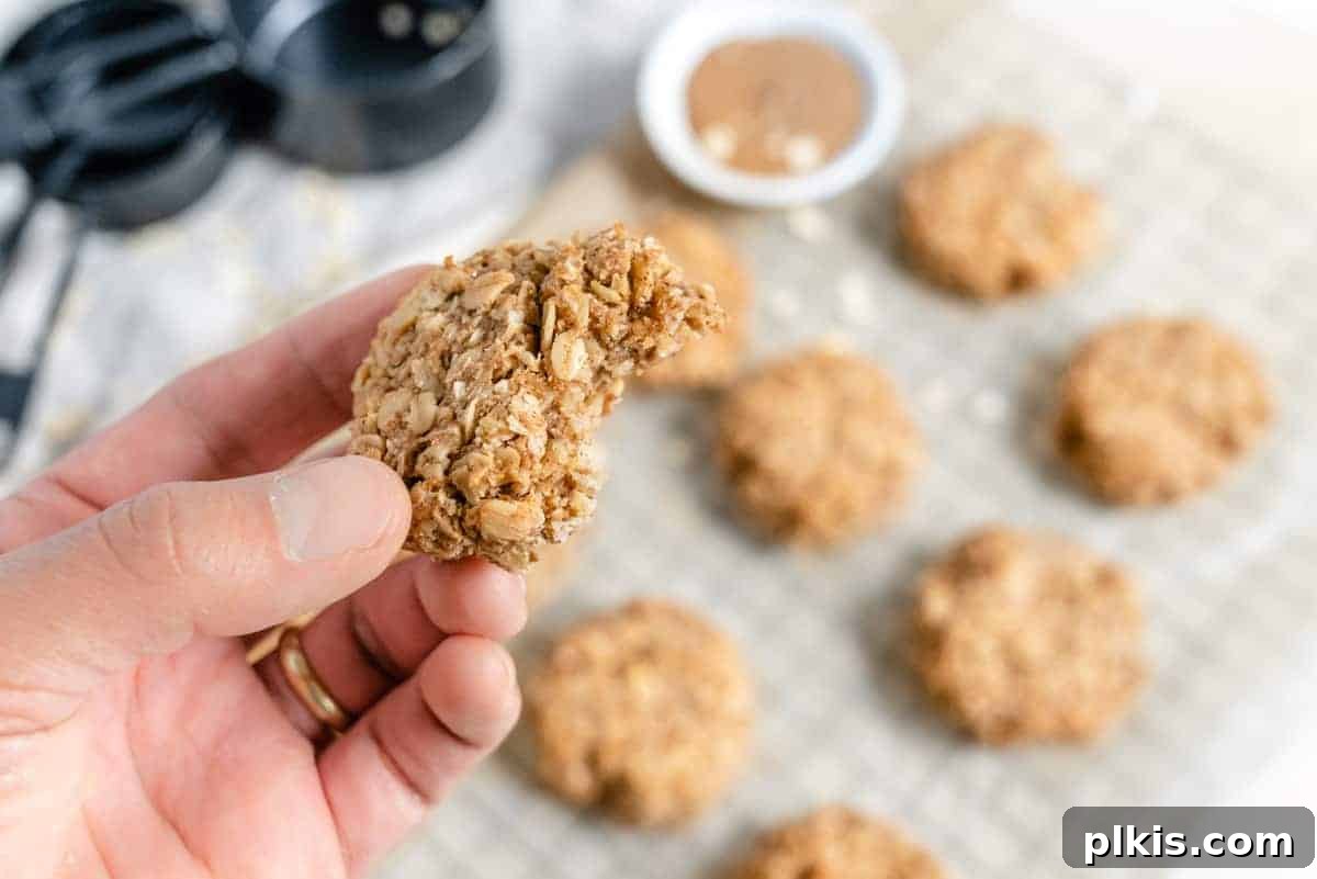 Tropical Coconut Oatmeal Treats 5 A close-up of several homemade Coconut Oatmeal Cookies on a gray baking tray, ingredients out of focus in the background.