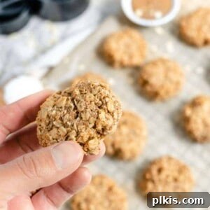 Close up of Coconut Oatmeal Cookie with several cookies on a gray baking tray with ingredients in the background.