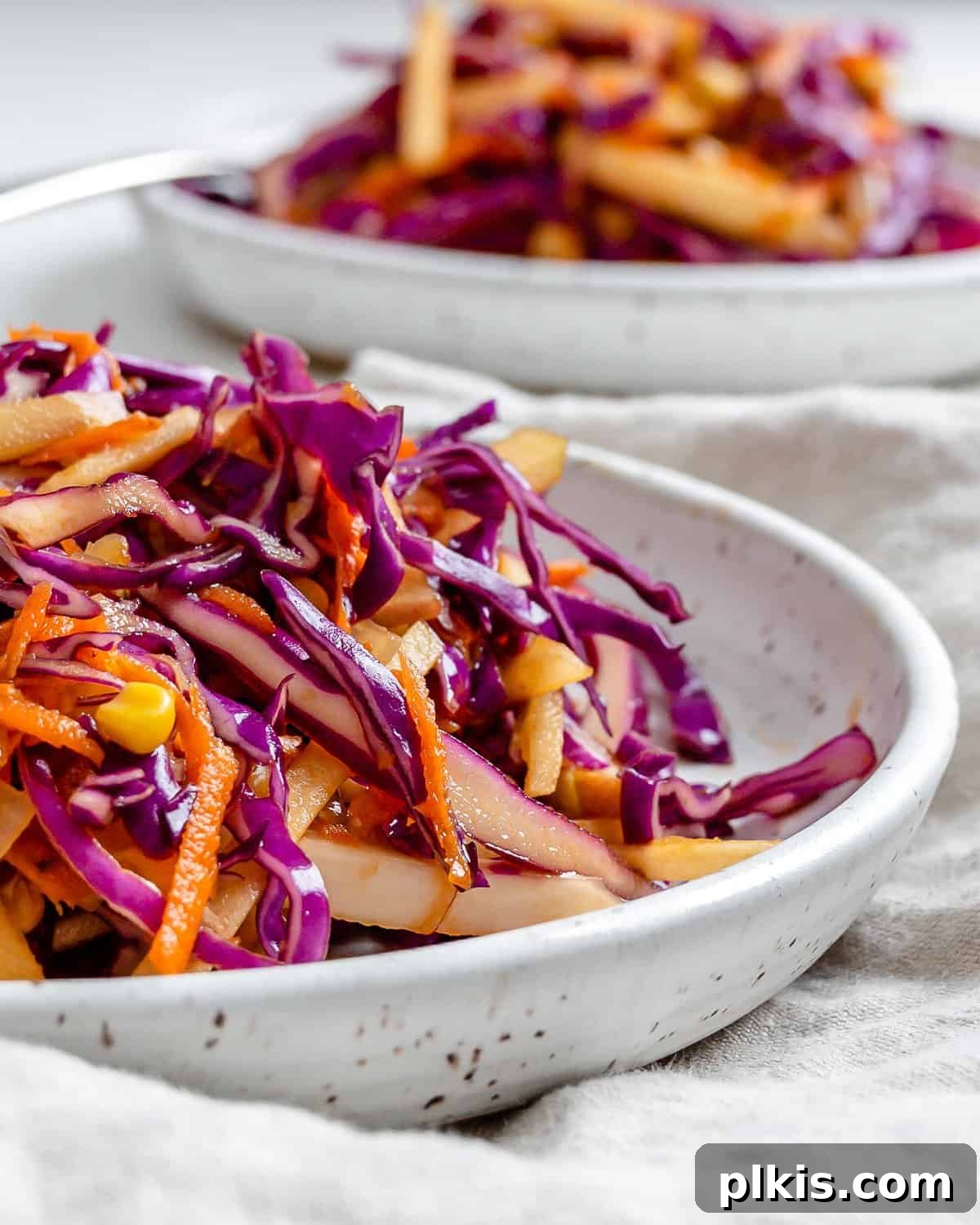 Garden Fresh Vegan Coleslaw with Apple, Carrots, and Corn 9 completed vegan slaw on two white plates against a light background
