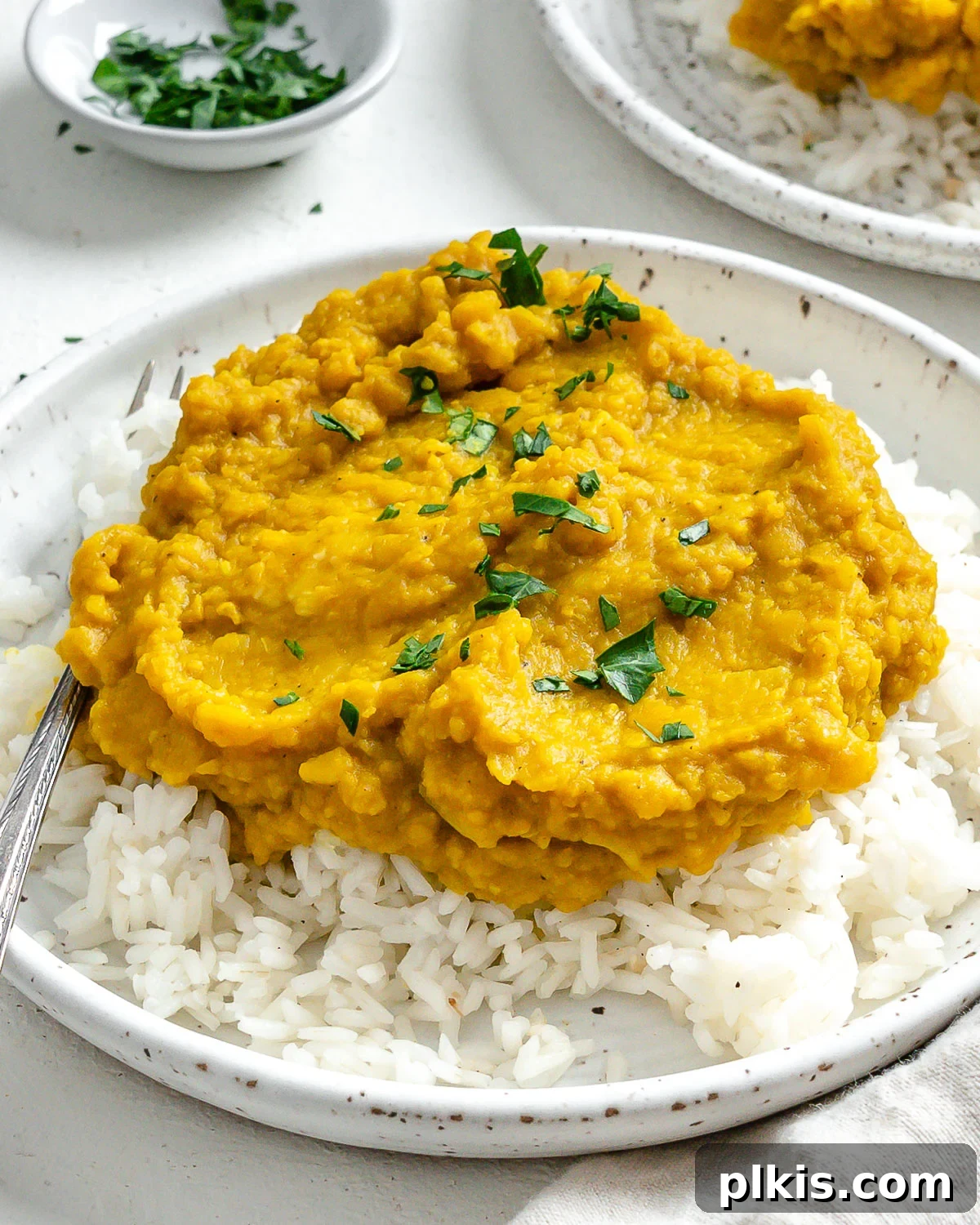 Sunshine in a Bowl: Easy Yellow Dal 11 completed Easy Yellow Dal on rice in a white plate against a light background