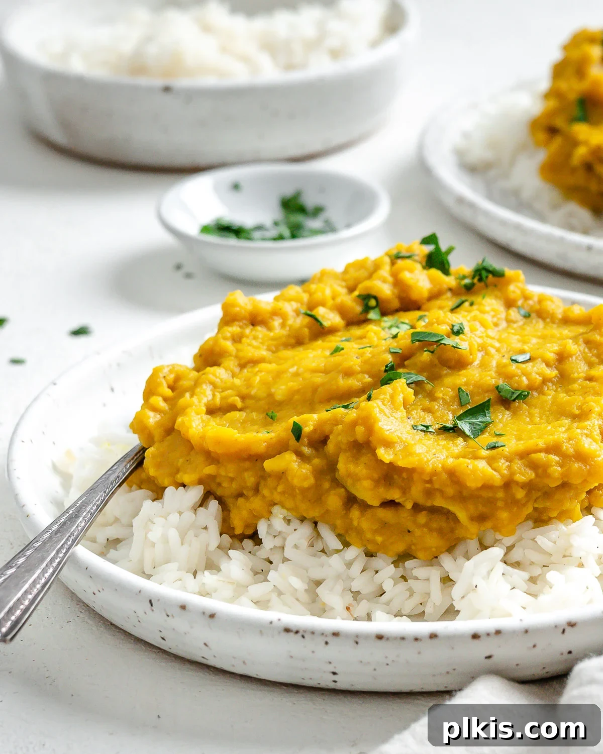 Sunshine in a Bowl: Easy Yellow Dal 13 completed Easy Yellow Dal on rice in a white plate against a light background