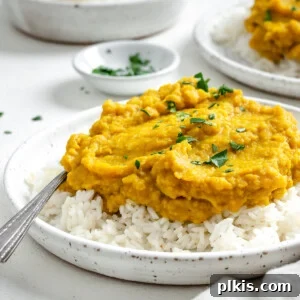 Sunshine in a Bowl: Easy Yellow Dal 14 completed Easy Yellow Dal on rice in a white plate against a light background