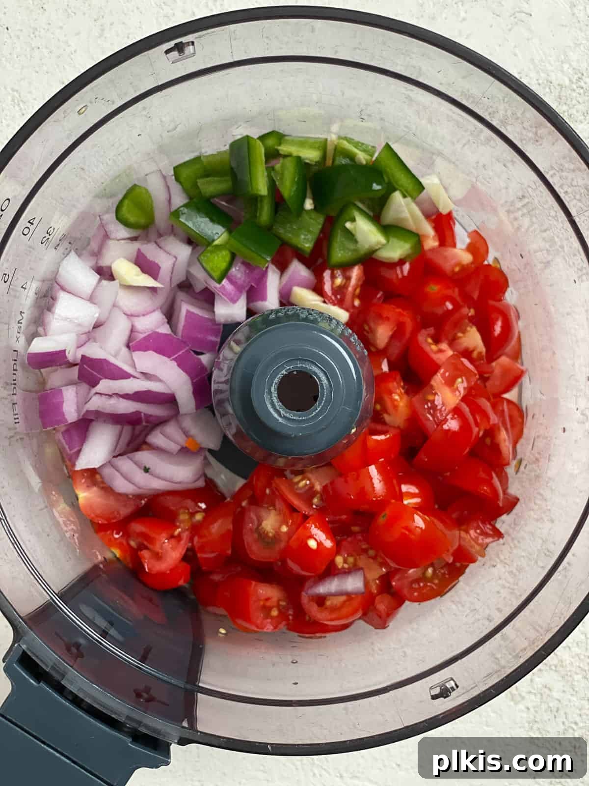 Blender Magic: 5-Minute Restaurant Salsa 5 All coarsely chopped ingredients placed inside a food processor, ready for blending.