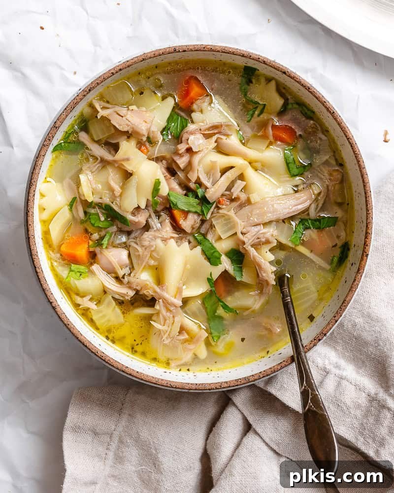 Pulled Jackfruit Noodle Soup 2 completed Vegan Jackfruit Chicken Noodle Soup in a bowl