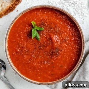 Completed Quick Vegan Tomato Soup [With Canned Tomatoes] against a light background