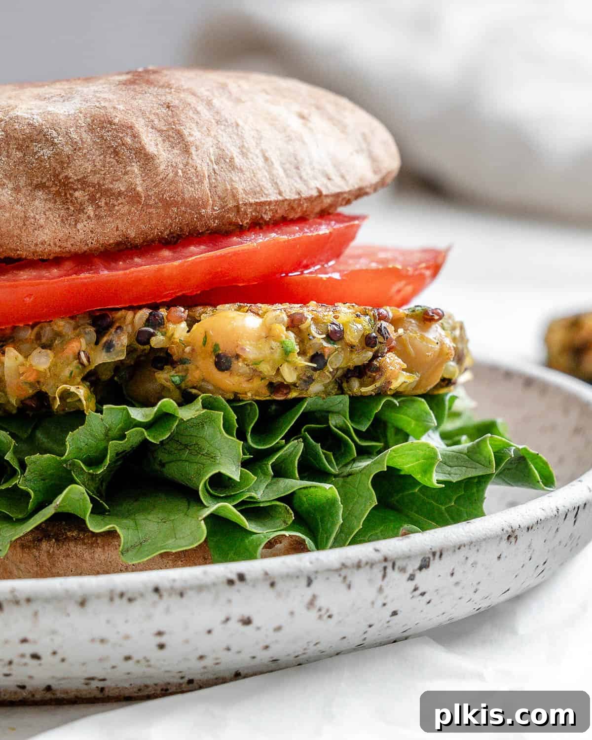 Golden Quinoa Chickpea Fritters 12 completed Quinoa Chickpea burger plated on a white surface