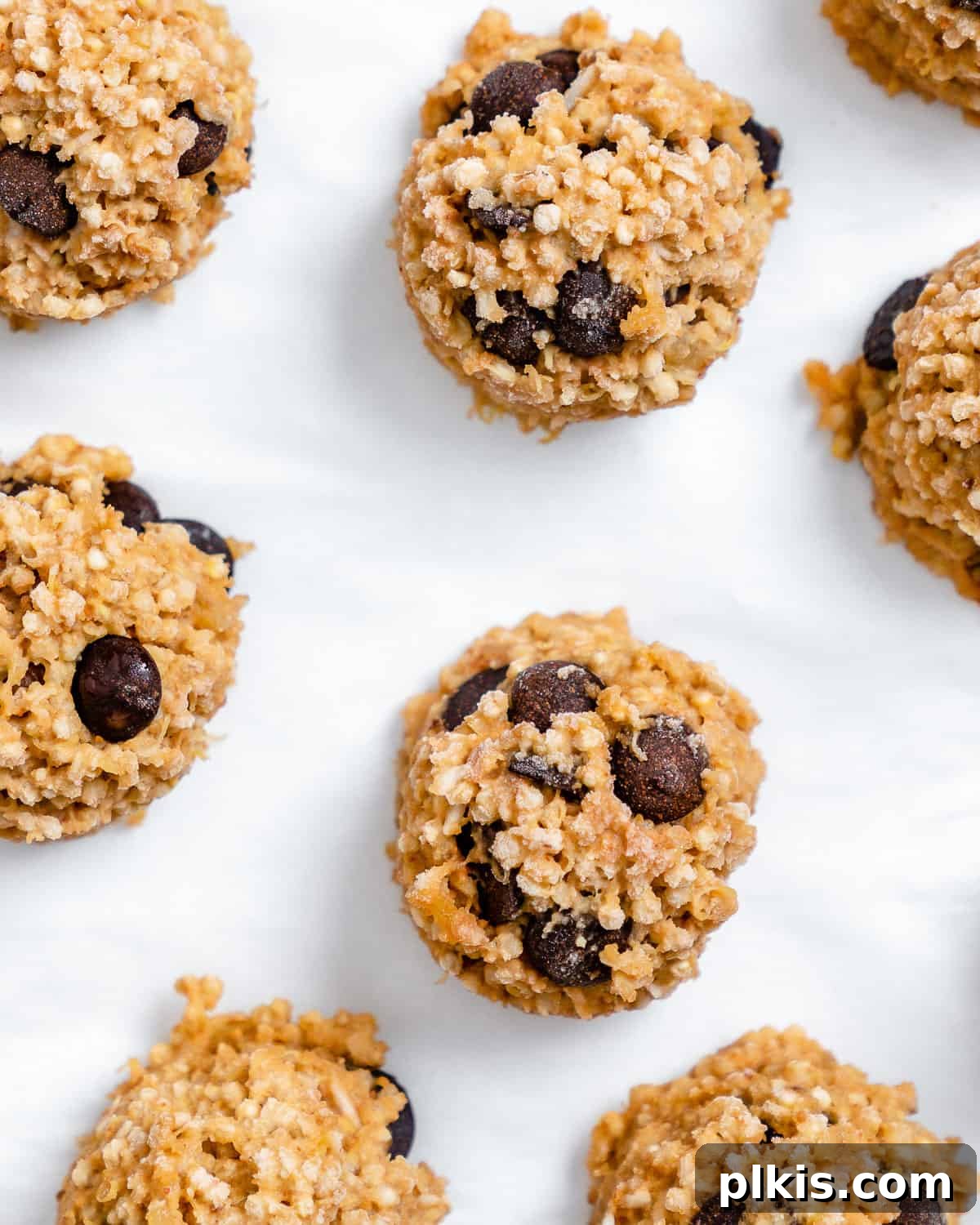 Plant-Powered Quinoa Chocolate Chip Cookies 6 A close-up view of freshly prepared Vegan Chocolate Chip Quinoa Cookies, perfectly chilled and arranged on a white surface, highlighting their rich texture and tempting add-ins.