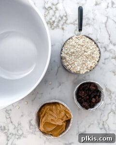 The three ingredients – oats, peanut butter, and raisins – are placed in a large white mixing bowl, ready to be combined.