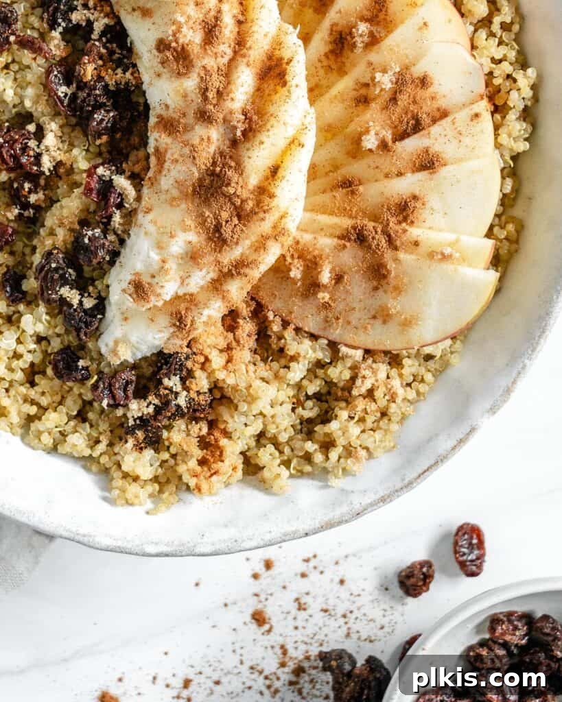 Warm Apple Quinoa Breakfast 5 A completed Breakfast Quinoa Apple Bowl, showcasing a full bowl of quinoa topped with sliced apples, bananas, raisins, and a sprinkle of cinnamon and brown sugar, set against a backdrop of scattered ingredients