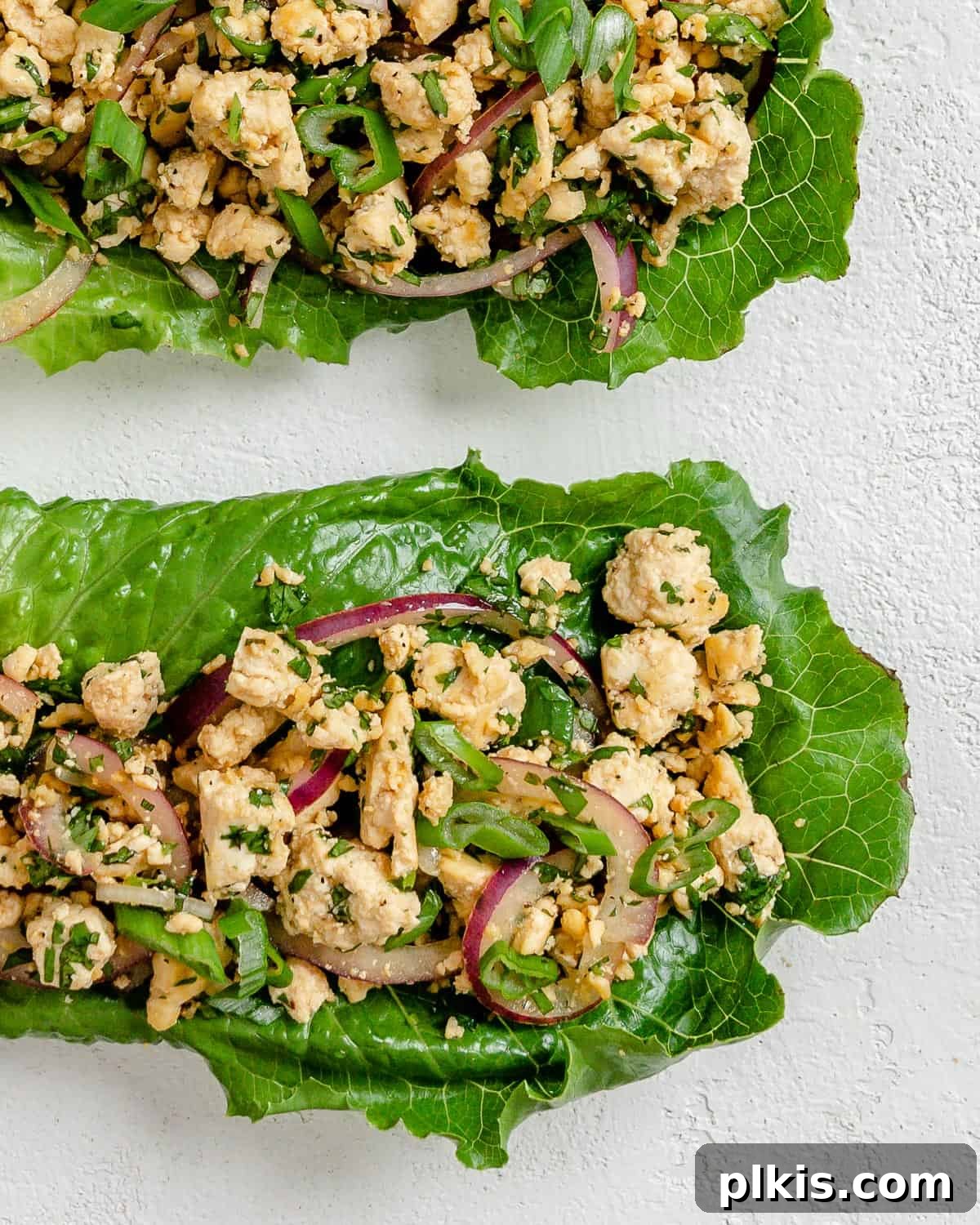 Vibrant Vegan Tofu Larb 9 Two completed larb salad servings with vibrant colors against a white background.
