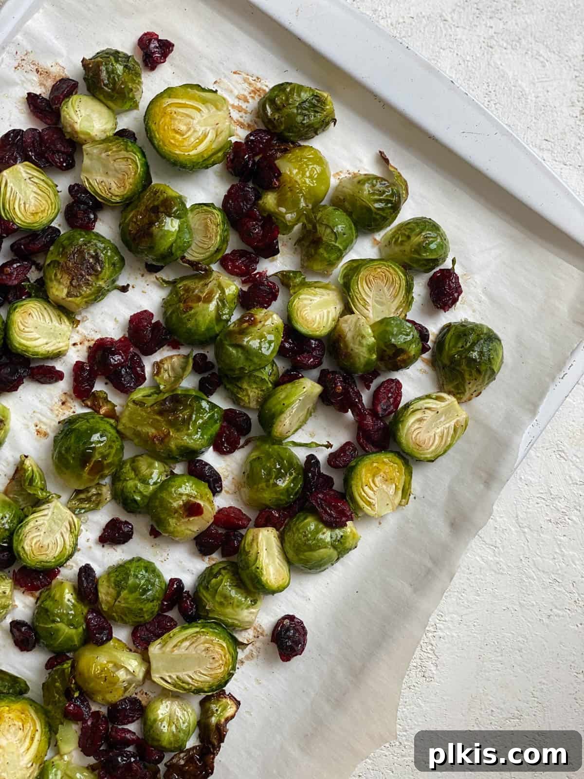 Tangy Cranberry Roasted Brussels Sprouts 9 A close-up of a serving of Roasted Brussels Sprouts with Cranberries, highlighting the crispy edges and vibrant colors.