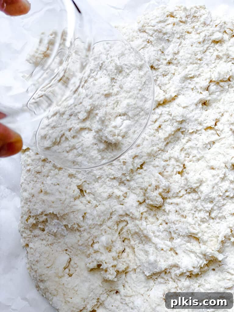 Effortless Plant-Based Biscuits in Minutes 12 Vegan biscuit dough, about 1.5 inches thick, with several round biscuits already cut out and waiting to be transferred to a baking sheet.