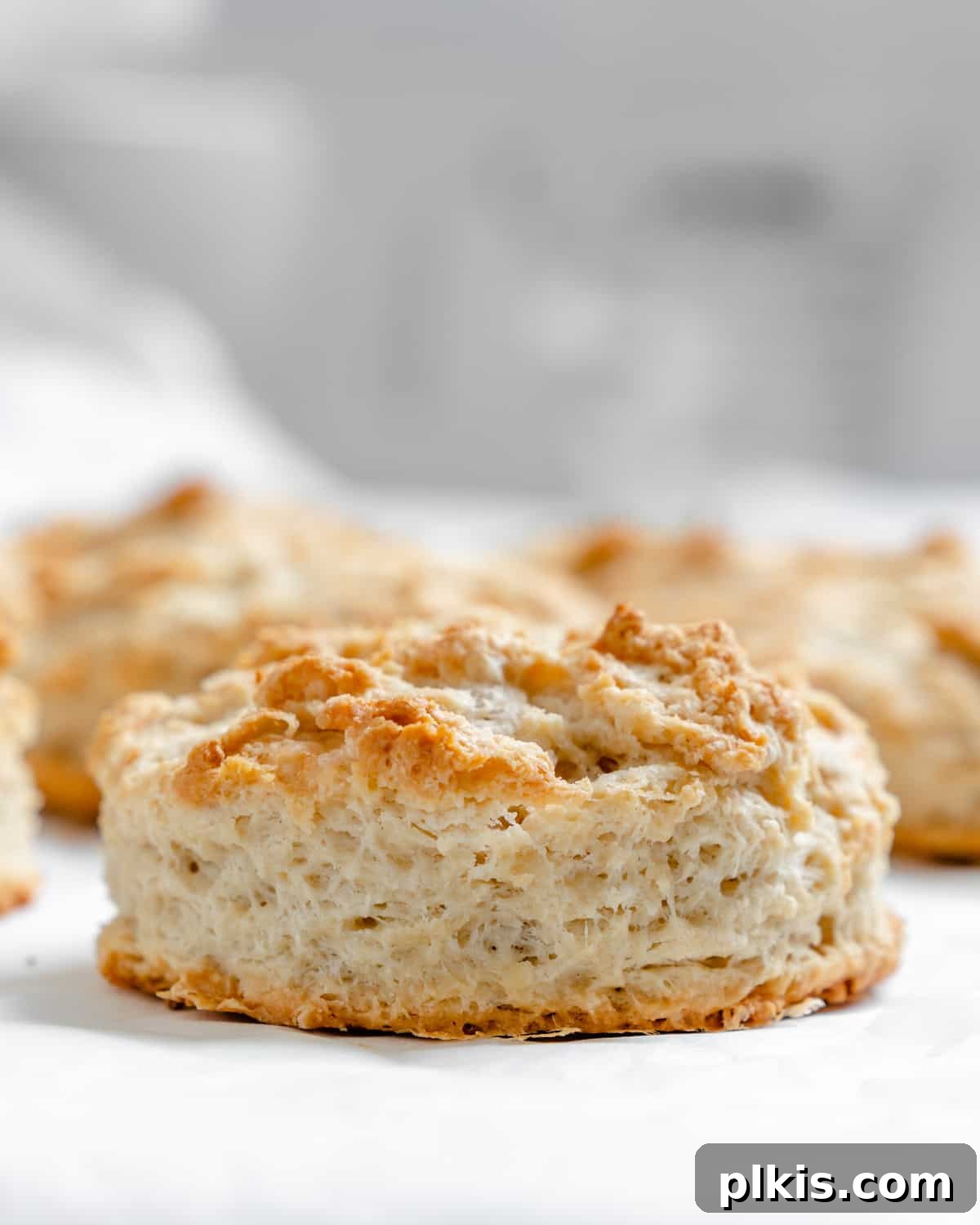 Effortless Plant-Based Biscuits in Minutes 15 A beautifully arranged plate of golden-brown vegan buttermilk biscuits, perfect for sharing.