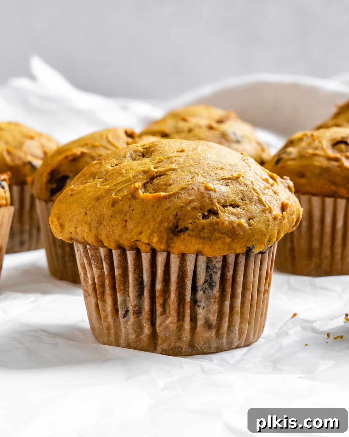 Spiced Vegan Pumpkin Chocolate Chip Muffins 2 completed Vegan Pumpkin Chocolate Chip Muffins on a white surface