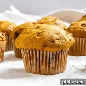 Delicious Vegan Pumpkin Chocolate Chip Muffins