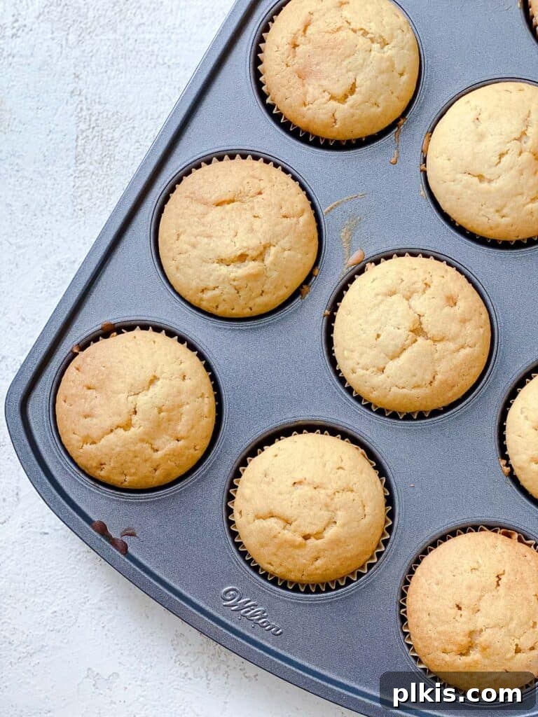 Effortless Vegan Vanilla Cupcakes 7 overhead view of completed cupcakes in muffin tin, golden brown and perfectly risen