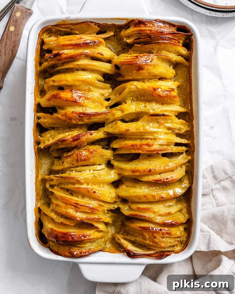Decadent Dairy-Free Scalloped Potatoes 2 Golden-brown and bubbly Vegan Scalloped Potatoes baked in a white ceramic casserole dish, ready to be served.