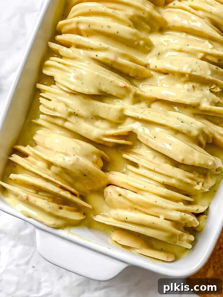 Decadent Dairy-Free Scalloped Potatoes 8 Layered potato slices in a casserole dish with a rich vegan cream sauce poured over them, ready for baking.