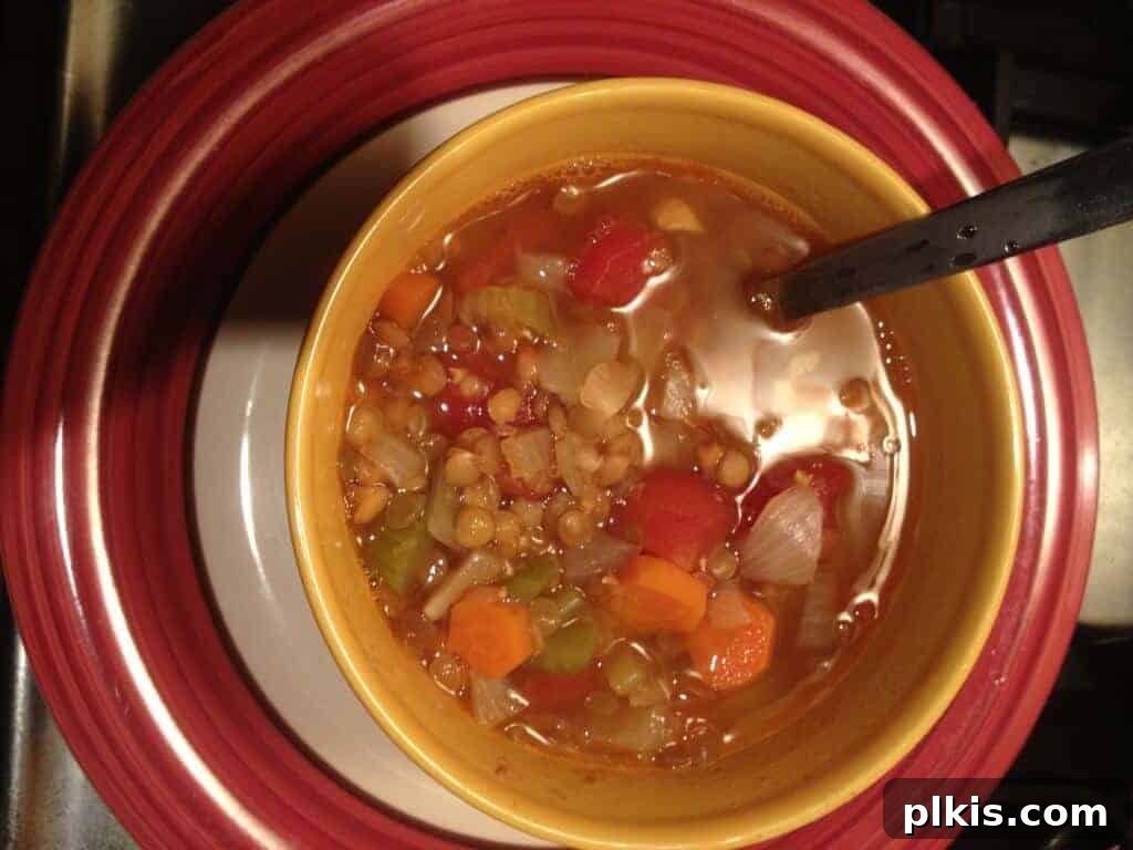 Plant-Based Budget Challenge for Two: Week One 3 Bowl full of veggie lentil soup.