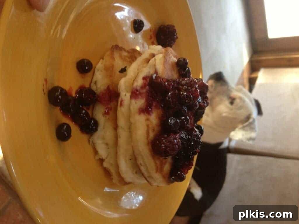 Plant-Based Budget Challenge for Two: Week One 6 photo 5(4)