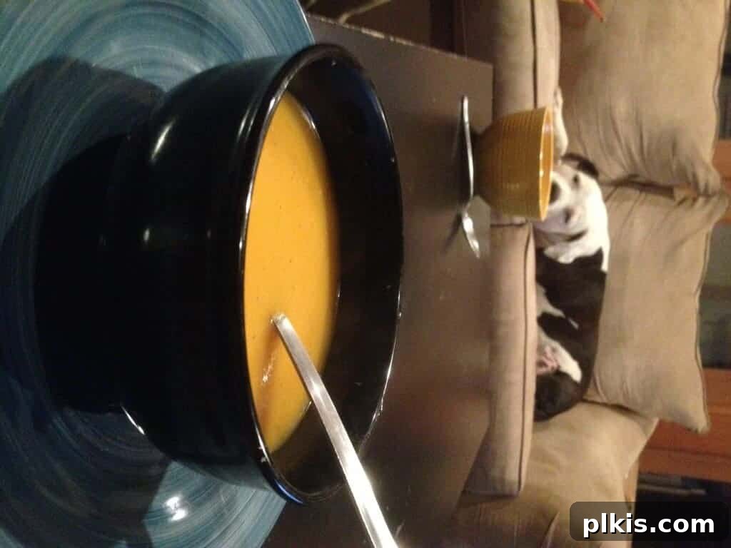 Plant-Based Budget Challenge for Two: Week One 9 A black bowl of ginger butternut squash soup.