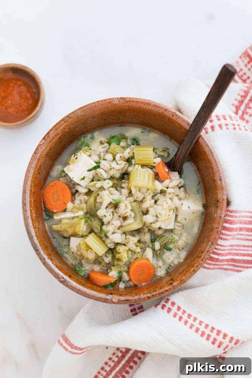 Solo Plant-Based Budget Challenge: Week 1 7 Brown bowl and spoon filled with vegetable barley soup.