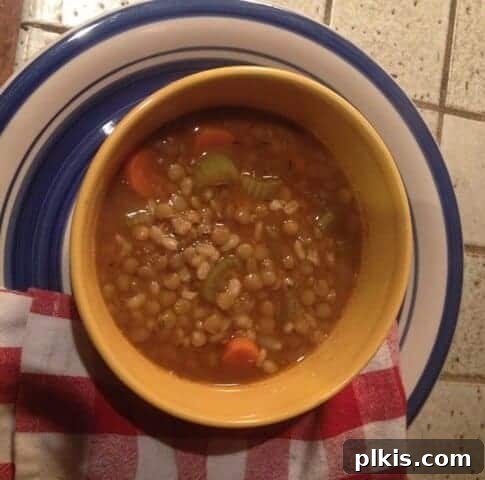 Budget Plant-Based Challenge for Two Week 2 14 A rustic bowl of hearty lentil barley soup, garnished with fresh herbs, ready to be served.