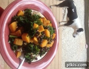Budget Plant-Based Challenge for Two Week 2 8 A vibrant bowl of brown rice mixed with tender butternut squash, sautéed kale, and black beans, creating a healthy and colorful plant-based meal.