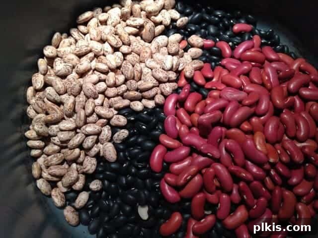 Frugal Vegan Feasts for One: Week 2 Progress 5 Dried pinto beans, black beans, and kidney beans in a crockpot insert.