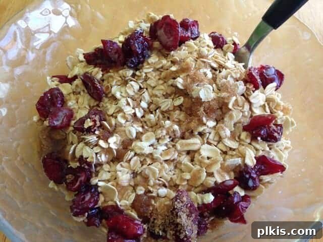 Frugal Vegan Feasts for One: Week 2 Progress 10 Oatmeal, dried cranberries, and soymilk in a glass bowl.