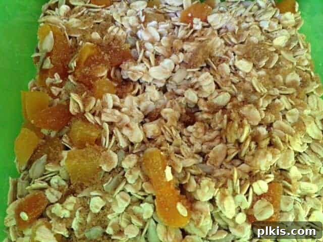 Solo Budget Plant Based Challenge Week 3 2 Green bowl of oatmeal, dried apricots, soymilk, and brown sugar.