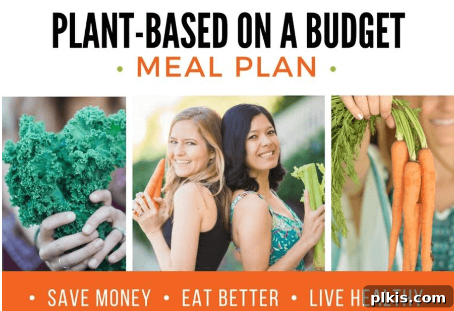 Solo Budget Plant Based Challenge Week 3 17 Plant Based on a Budget Meal Plan