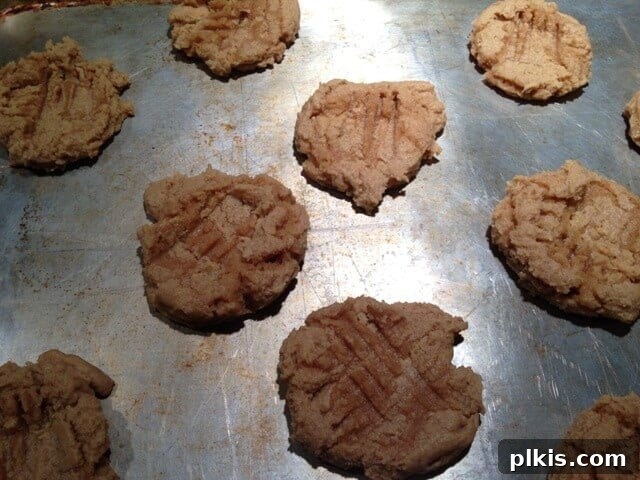 Solo Budget Plant Based Challenge Week 3 5 Baked vegan peanut butter cookies on a baking sheet.