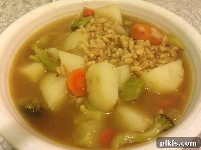 Solo Budget Plant Based Challenge Week 3 7 Small white bowl of vegetable barley soup containing carrots and potatoes.