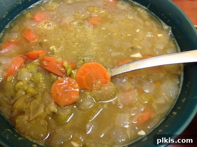 My Solo Budget Vegan Journey: Week 4 7 A bowl full of split pea soup that also has carrots, celery, and onion.