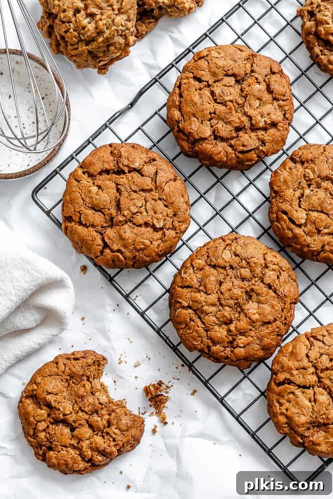 24 Festive Vegan Christmas Cookie Delights 10 Completed Gingerbread Oatmeal Cookies on cooling rack.